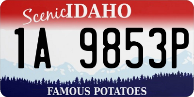 ID license plate 1A9853P