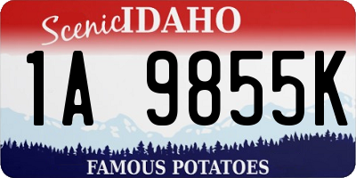 ID license plate 1A9855K