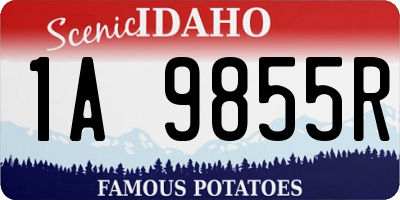 ID license plate 1A9855R