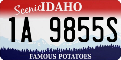 ID license plate 1A9855S