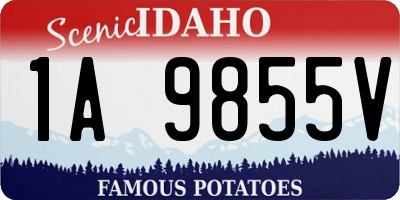 ID license plate 1A9855V