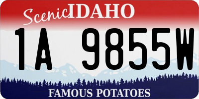 ID license plate 1A9855W