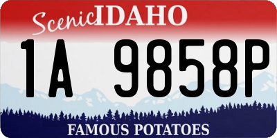 ID license plate 1A9858P