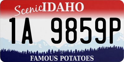 ID license plate 1A9859P