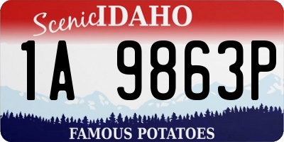 ID license plate 1A9863P