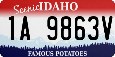 ID license plate 1A9863V