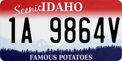 ID license plate 1A9864V