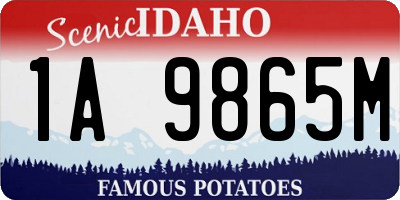 ID license plate 1A9865M