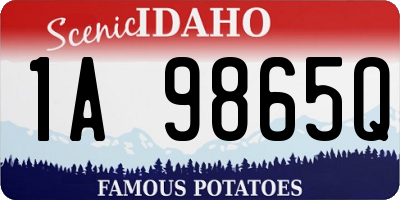 ID license plate 1A9865Q