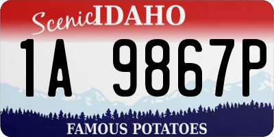 ID license plate 1A9867P