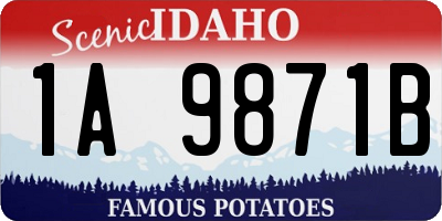 ID license plate 1A9871B