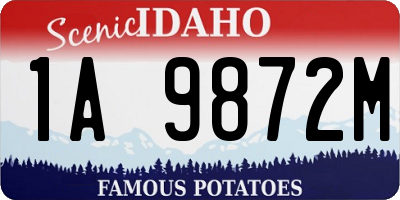 ID license plate 1A9872M