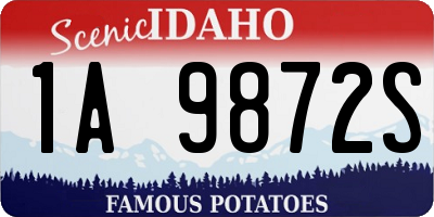 ID license plate 1A9872S