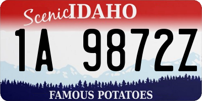 ID license plate 1A9872Z