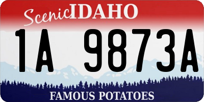 ID license plate 1A9873A