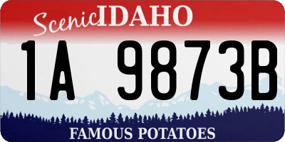 ID license plate 1A9873B