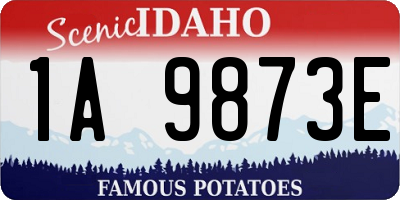 ID license plate 1A9873E