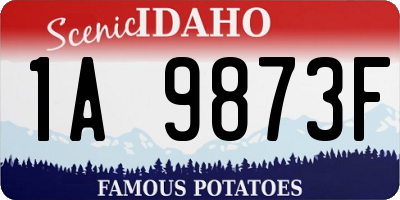 ID license plate 1A9873F