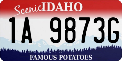 ID license plate 1A9873G