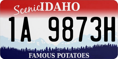 ID license plate 1A9873H