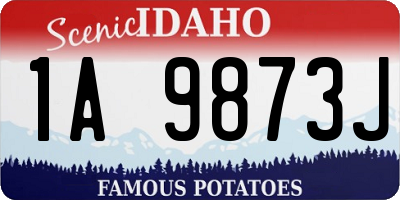 ID license plate 1A9873J