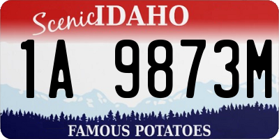 ID license plate 1A9873M