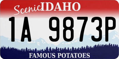ID license plate 1A9873P