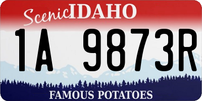 ID license plate 1A9873R