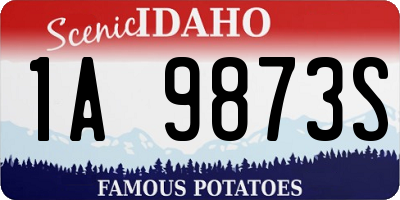 ID license plate 1A9873S
