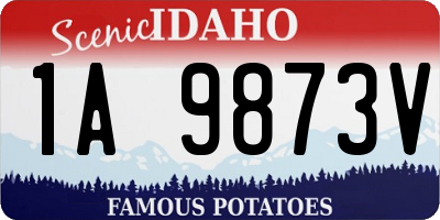 ID license plate 1A9873V