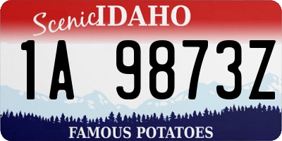 ID license plate 1A9873Z