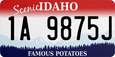 ID license plate 1A9875J