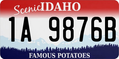 ID license plate 1A9876B
