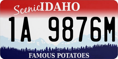 ID license plate 1A9876M
