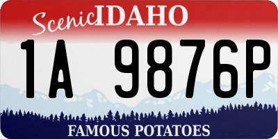 ID license plate 1A9876P
