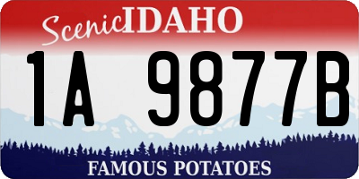 ID license plate 1A9877B