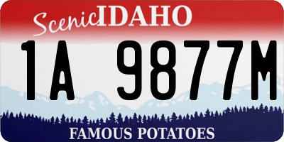 ID license plate 1A9877M
