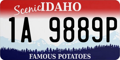 ID license plate 1A9889P