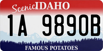 ID license plate 1A9890B
