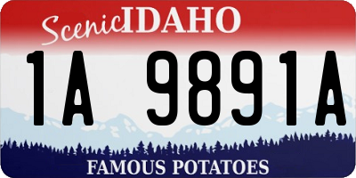 ID license plate 1A9891A