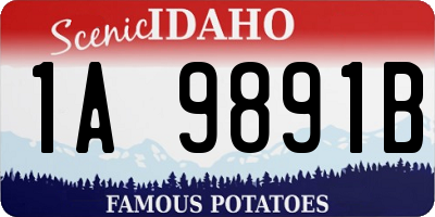 ID license plate 1A9891B