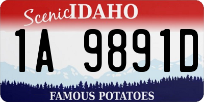 ID license plate 1A9891D