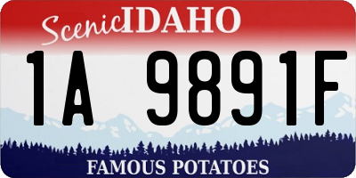 ID license plate 1A9891F