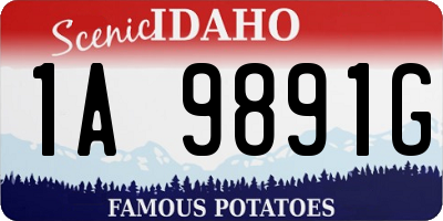 ID license plate 1A9891G