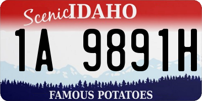 ID license plate 1A9891H