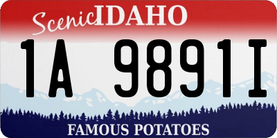 ID license plate 1A9891I
