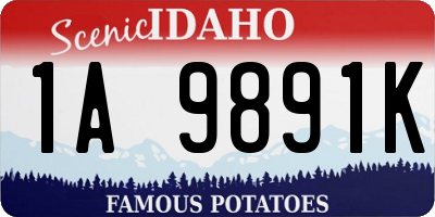ID license plate 1A9891K