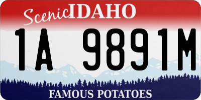 ID license plate 1A9891M