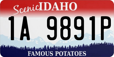 ID license plate 1A9891P