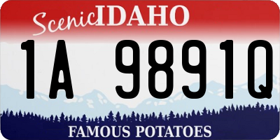 ID license plate 1A9891Q